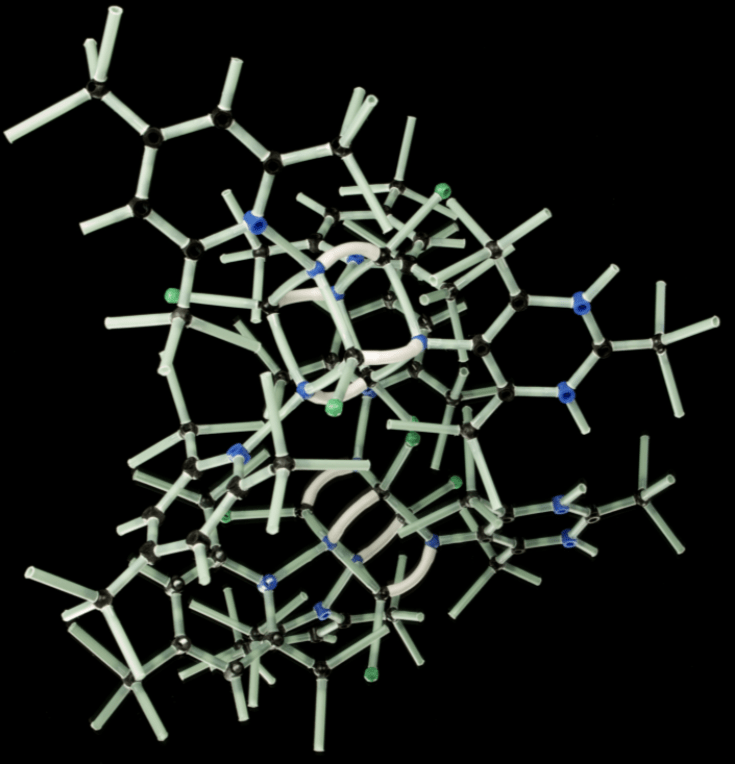 Understanding Hormones: The roles of Estrogen and Progesterone
