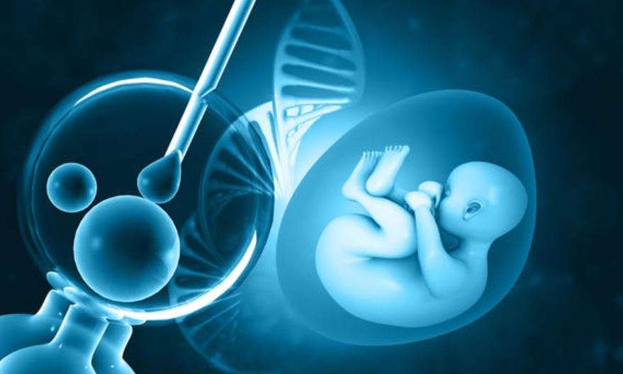 Artificial Intelligence Company Helps IVF Patients Get Pregnant