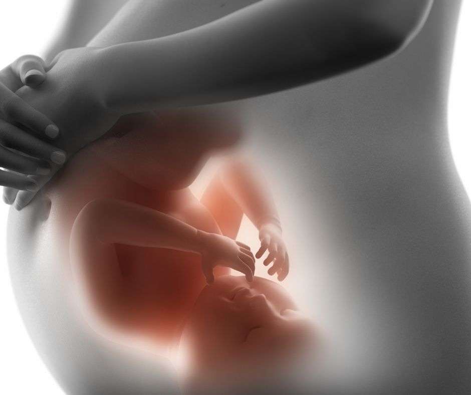 You Can Have a Baby and Save Someone’s Life – Find Out How